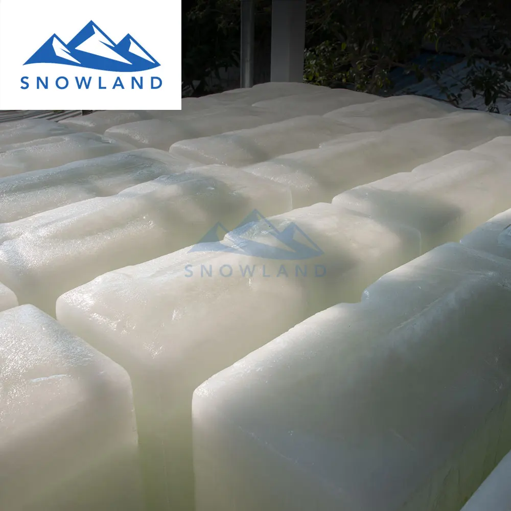 
5 ton ice maker with block ice 