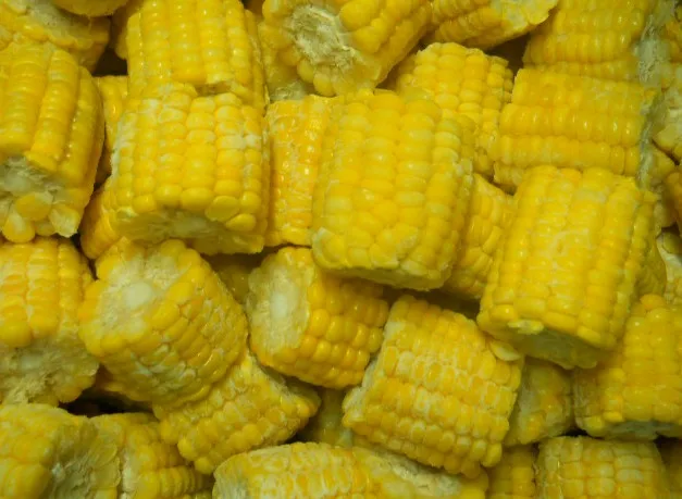 Свежая Сладкая хрустящая Кукуруза в початках оптом целые и Бланшированные Замороженные овощи сертифицированные IQF
