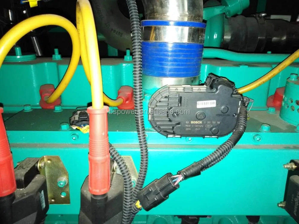 200 кВт 250 кВА звуконепроницаемый бесшумный газовый газификатор для отходов биогаза CHP CCHP Газовый генератор для непрерывного источника питания