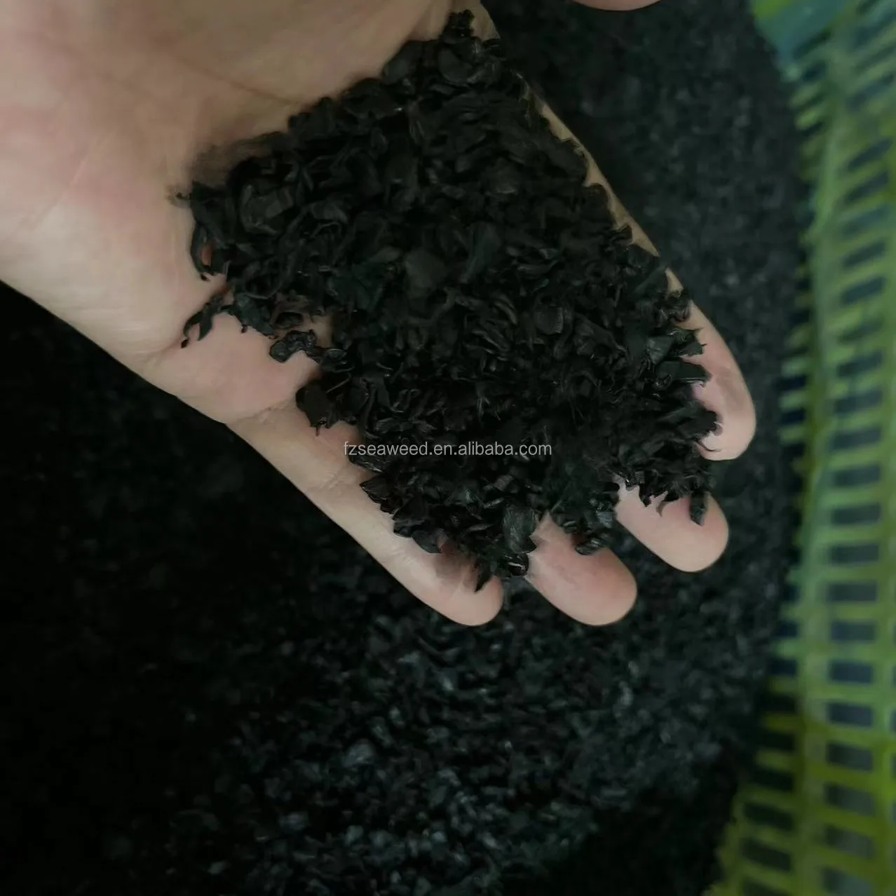 Dried wakame young leaf for Japanese food