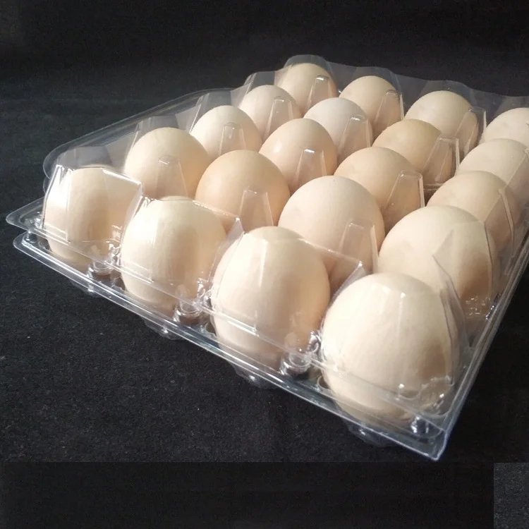  20 cells plastic eggs trays with