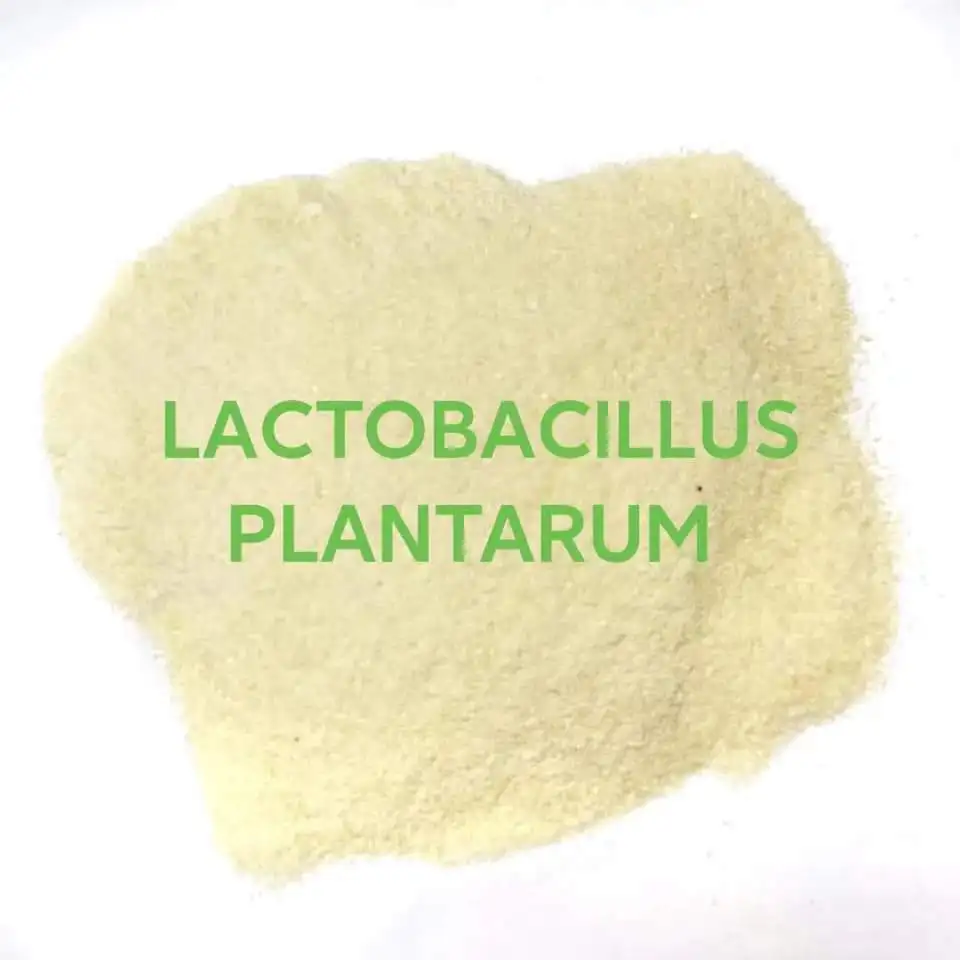 Высокое качество способствует росту 20 миллиардов Lactobacillus Plantarum упаковка для кормления свиней корм рыбы коричневый Шаньдун нормальный