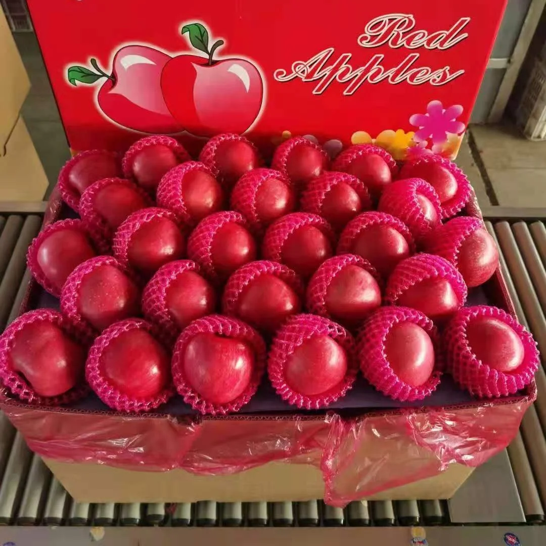 BLUSH RED FUJI APPLE