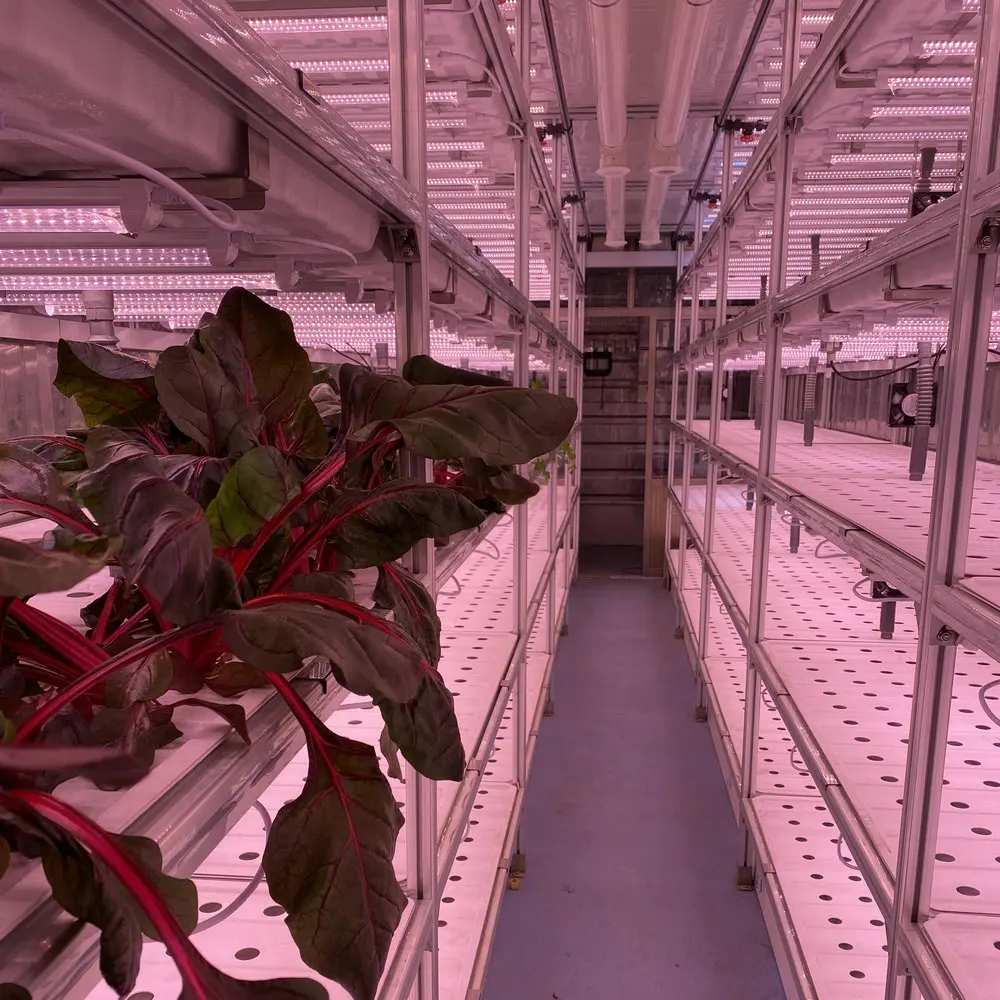 micro-farms container greenhouse farming vegetable hydroponic irrigation system