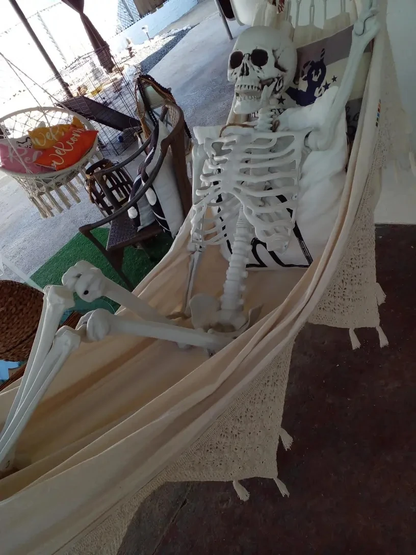 Customized Wholesale Cheap Scary Halloween Decoration Props Haunted House Life Size Animated Halloween Articulated Skeletons