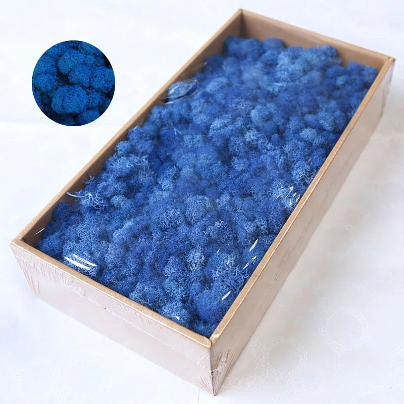 Yunnan Wholesale Colorful Preserved Moss 500g/box for Home Garden Wall Decoration Preserved Flowers and Plants