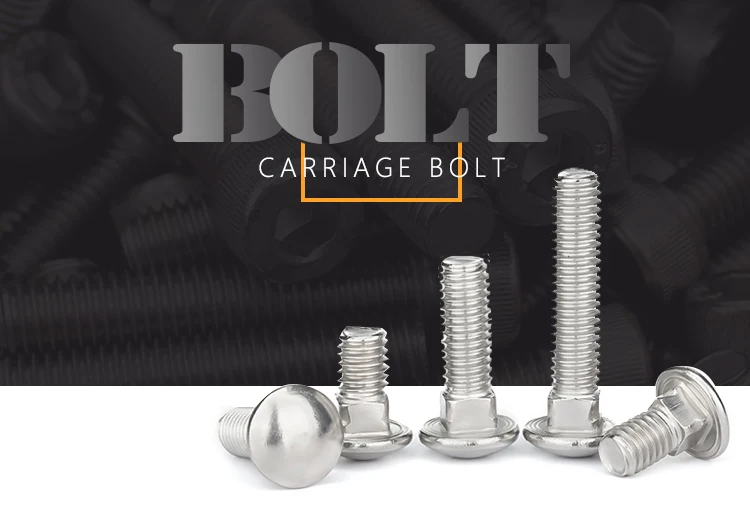 M8 Full Coarse Thread Carriage Bolt DIN603 with Hex Nut DIN934 Stainless Steel Round Head Square Neck Screws Carriage Bolt