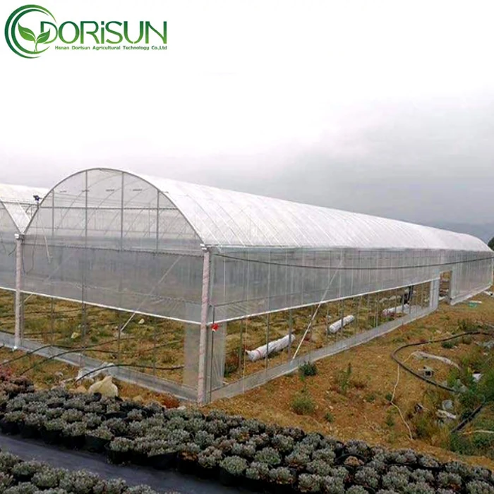 Drip Pipe Sprinkler Irrigation Technology Application Single Span Greenhouse Agricultural Greenhouse