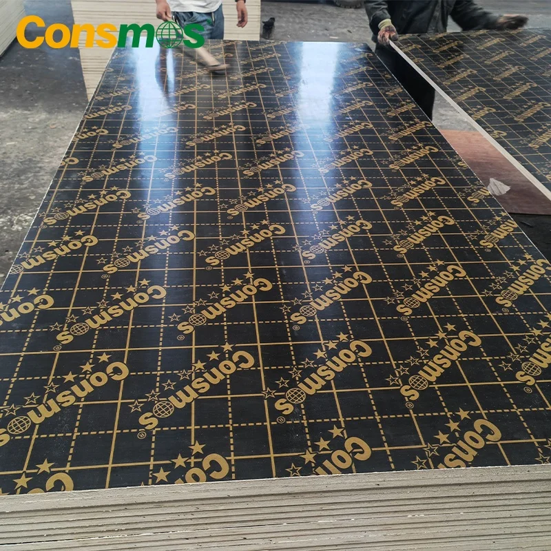 Linyi Consmos 6 Mm Mr Glue Waterproof Marine Formwork Plywood Biz Standard Film Faced Plywood to South Africa