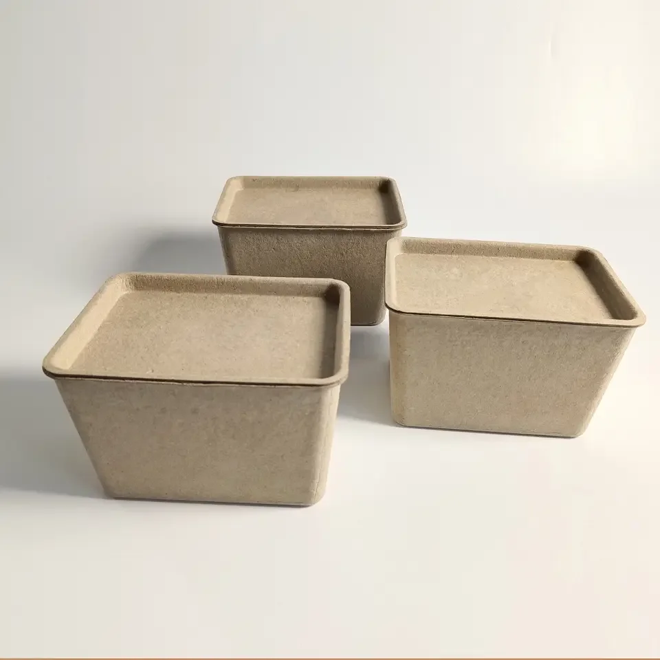 Customized  Design Bio Eco-friendly Paper Dry Press Fruit Pulp Pulp Packaging OEM/ODM For Fruit Vegetablles