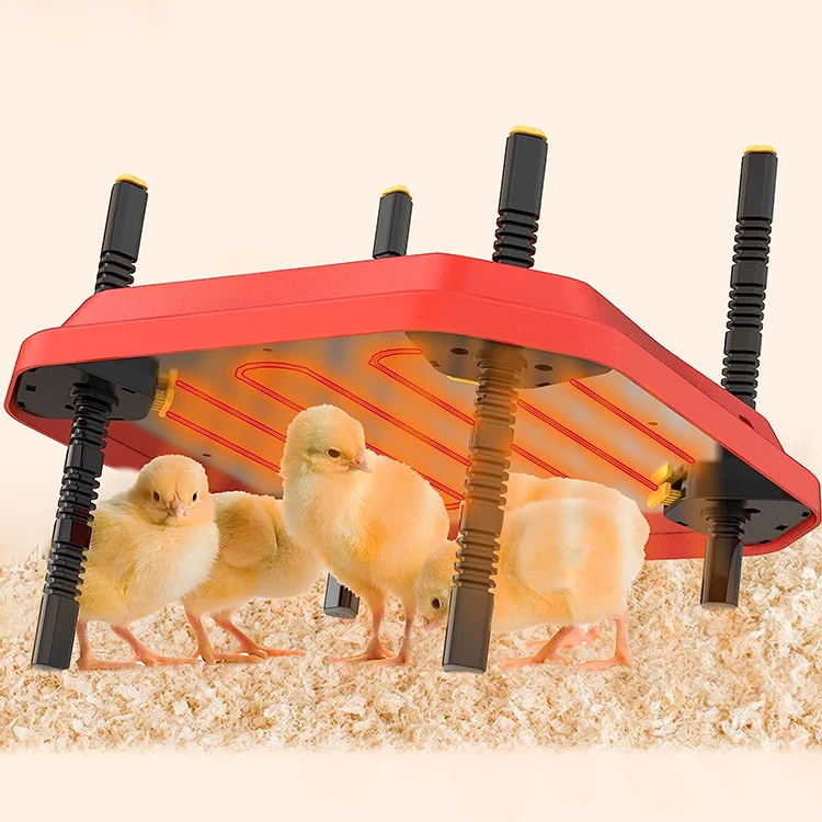 Electric brooder heater 110V 220V for chick chicken brooder heat plate CE Certificated