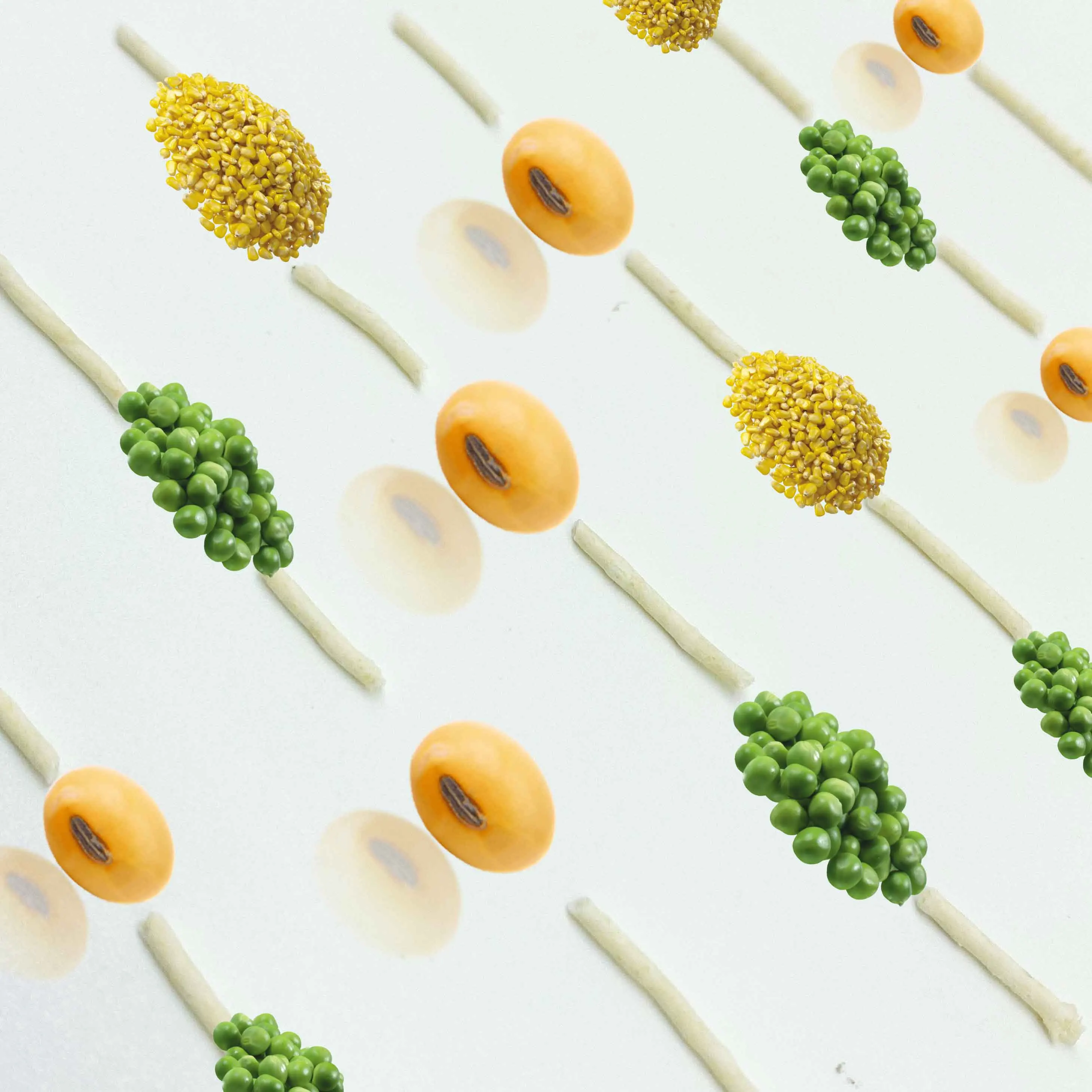 Hot selling factory direct sales biodegradable dust-free agglomeration strong cat litter tofu cat litter