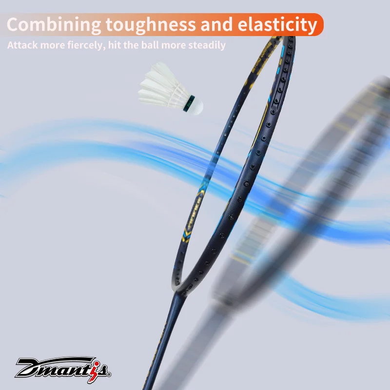Durable Training Equipment Dmantis Badminton Racket for Professional Player for Export Badminton Racket