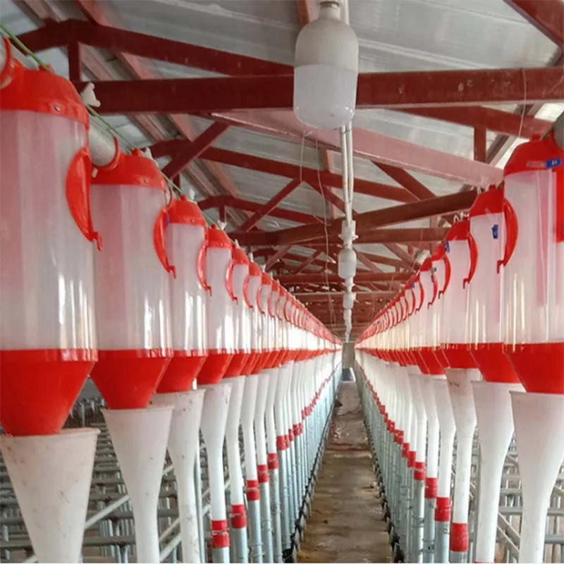Plastic Feed Measuring Quantitative Cups Automatic Pig Feeder For Sow Farrowing Crate