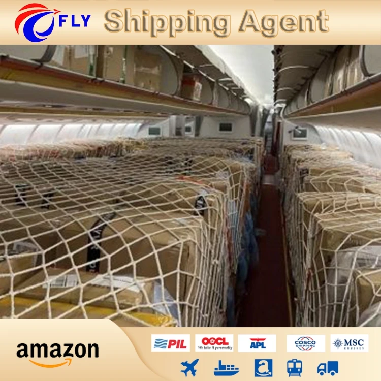 Choice Logistics Consolidated Shipping Agency Small Package Shipping Agent Customs Clearance Usa