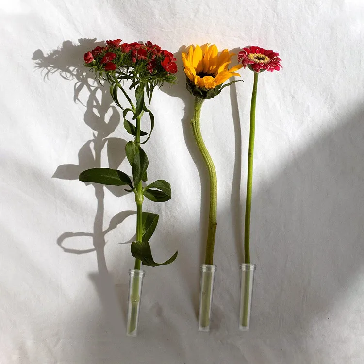 Садовая Декоративная Прозрачная пластиковая трубка для цветов, 2,8 дюйма, 7 см, 10 мл