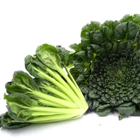 Hot style  Automatic Irrigation Hydroponics System for Vegetables