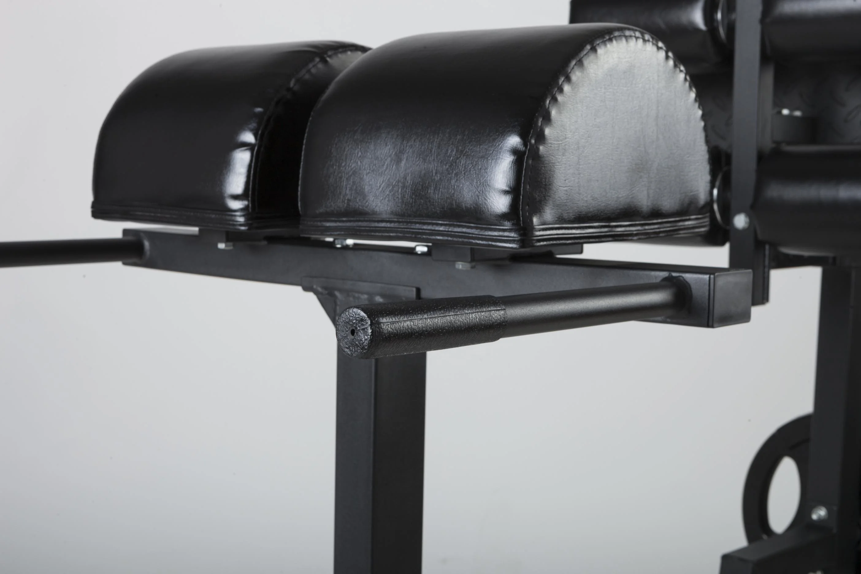 Factory Wholesale Fitness Equipment Gym Glute Ham Developer Adjustable Dumbbell Roman Bench