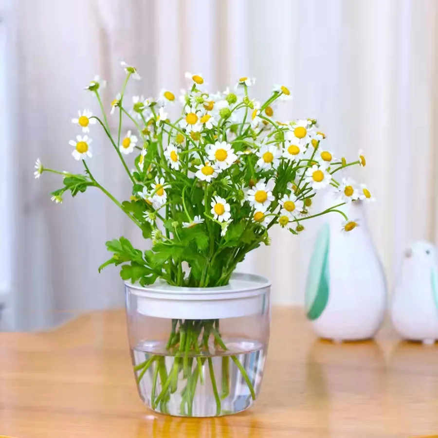 2022 New Design Small Orchid Flower Self Watering Plant Pot Home Decor Plastic Transparent Base Hydroponic Gardening Pot