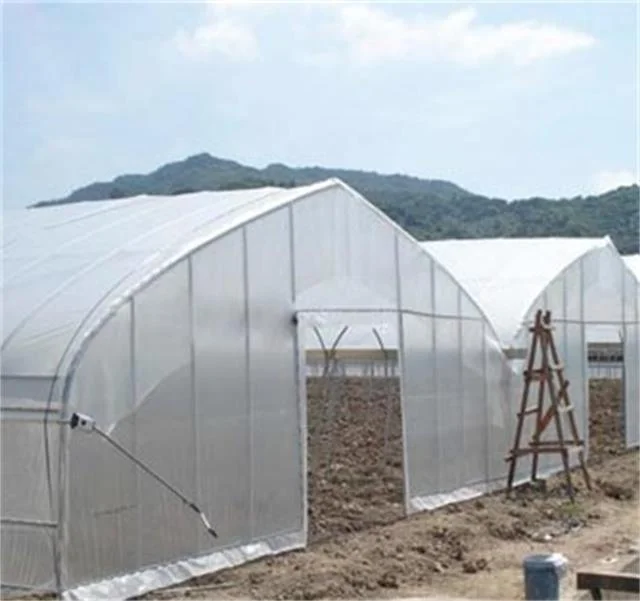 
Skyplant Galvanized steel Frame Single span PE Film greenhouse for Agriculture Low cost Tunnel greenhouse for flowers plant 