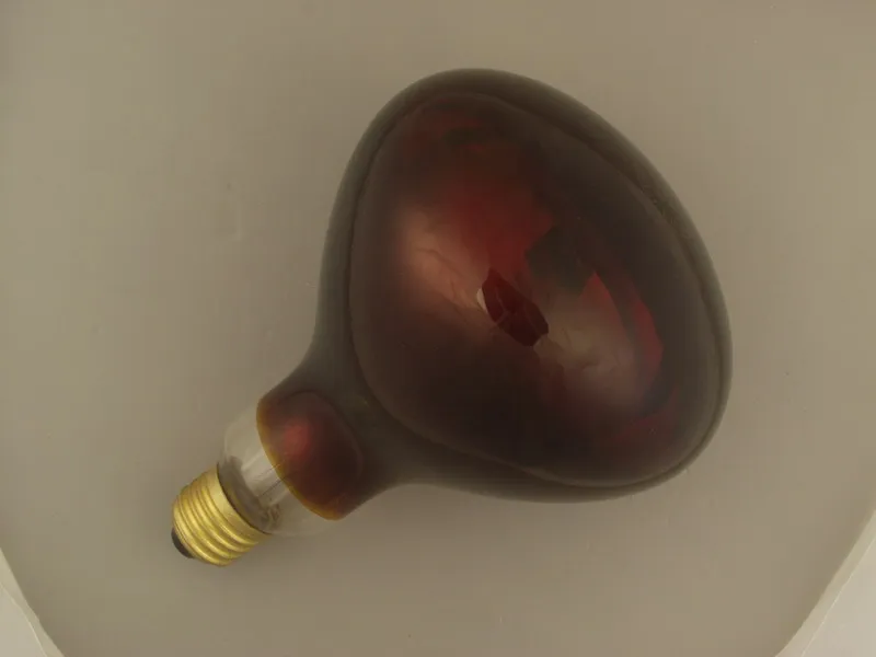 Chicken Farm Equipment Pig Poultry Farm Used 100W Infrared Heating Lamp Bulb Light heating lamp bulb