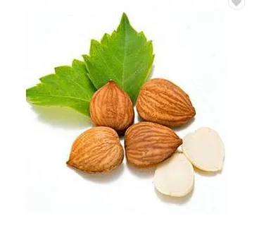 wholesale dry fruits bulk natural raw almond kernels nuts price