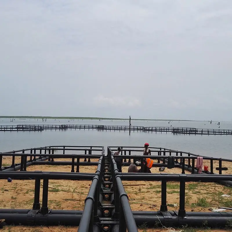 Offshore aquaculture floating  cage fish farming in the sea