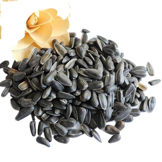 Новый урожай семян черного масла подсолнечника для семян птиц