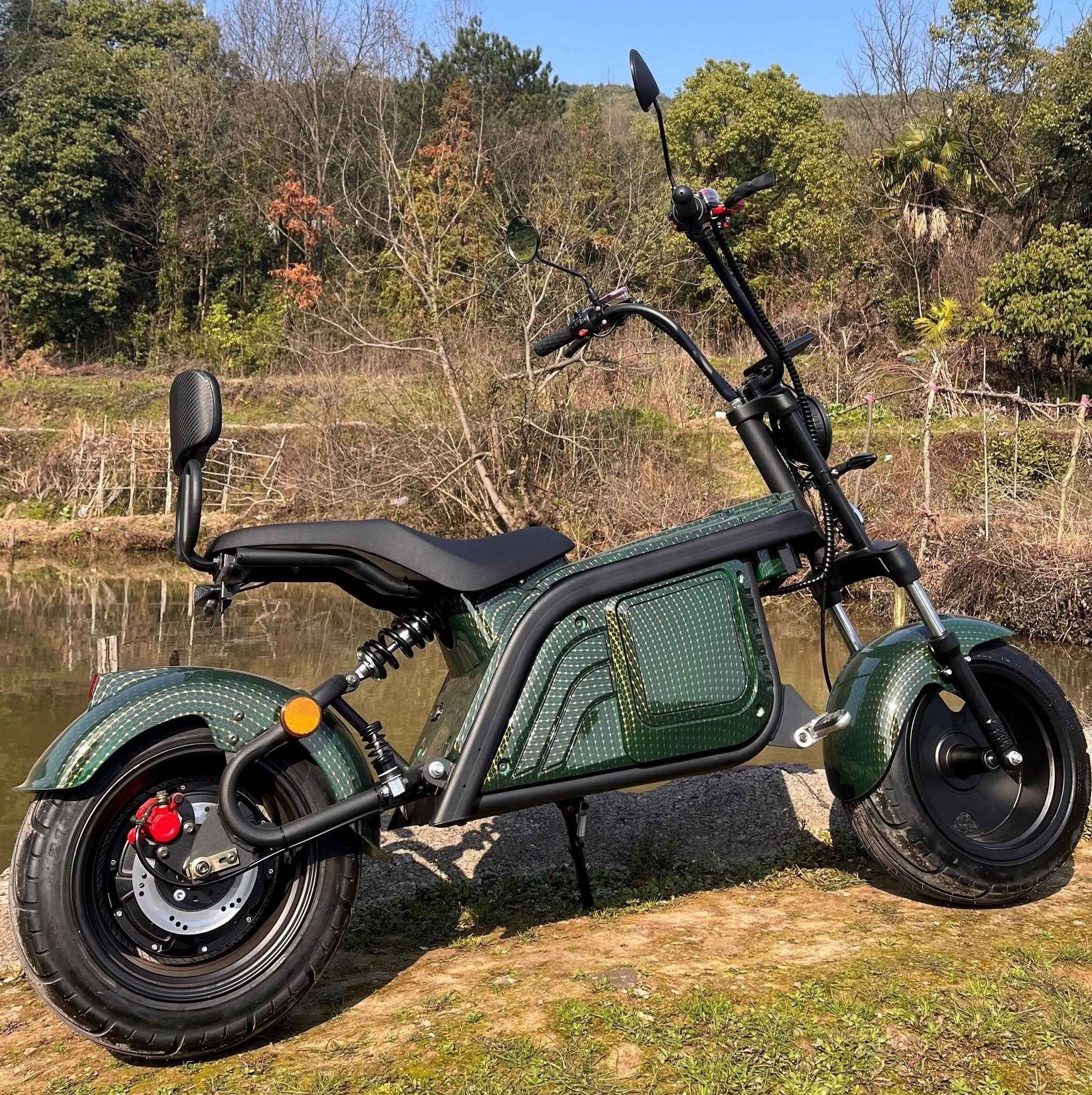 Power Motor 3000W Electric Scooter Sharing With EEC/Coc 70Km/H For Adults