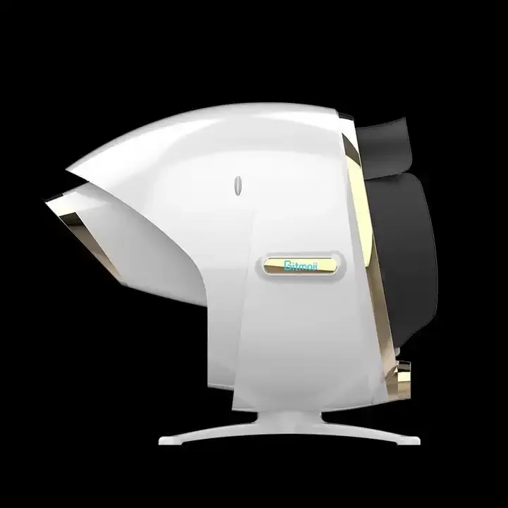 3D Skin Diagnosis System Skin Analyzer  With IPad Facial Detection Analyzer Face Test For Beauty Salon