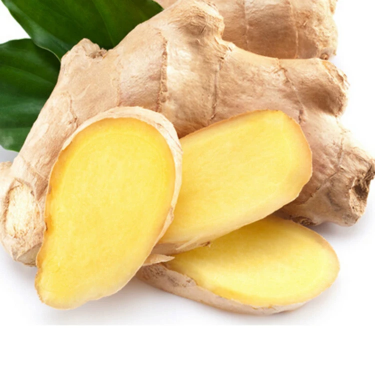Young Fresh Ginger For Export  Low Price of Fresh Garlic as A Food Garlic