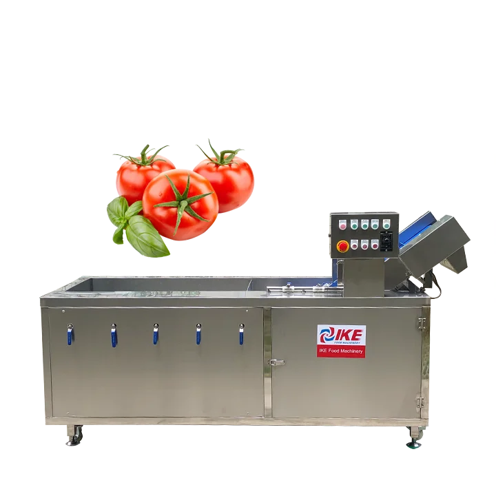 Простое в использовании оборудование для мытья моркови, томатов, свежих фруктов, зеленых листьев, овощей, моющее оборудование