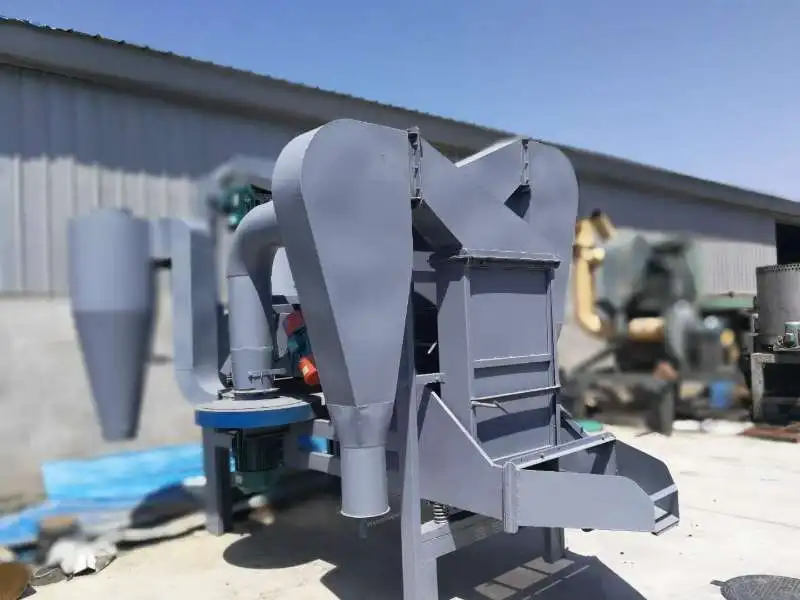 Raisin Processing Line Raisin Cleaning Sorting Machine in Uzbekistan