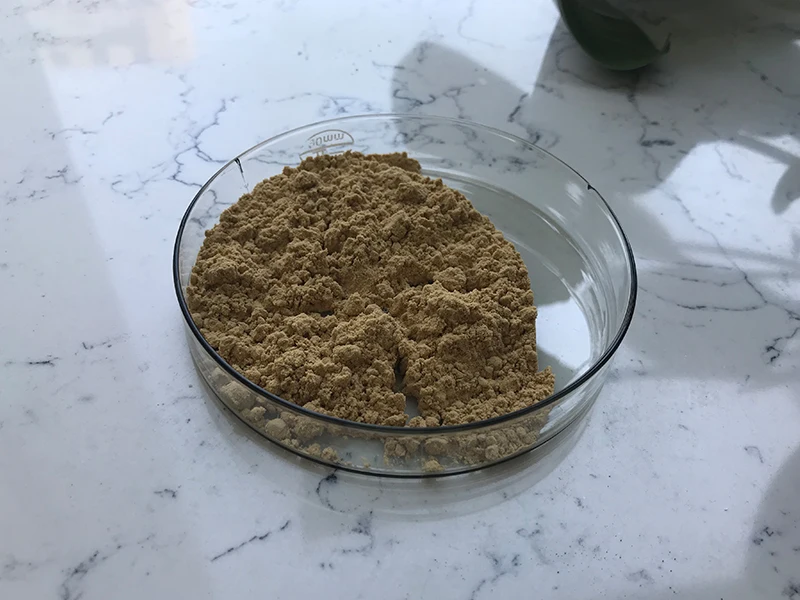 Best Price Buy Bacillus Subtilis Powder