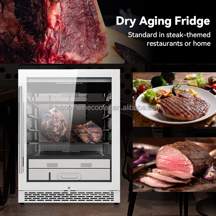 JOSOO 145L Dry Aged Beef Coolers Dry Age Meat Fridge Freezers Stainless Steel Maturation Machine Dry Ager Cabinet