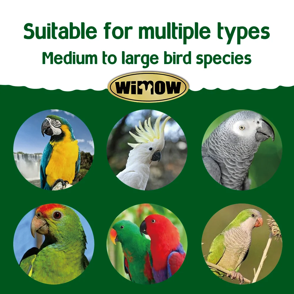 Wholesale small animals treats 2kg 10kg Parrot Seeds Bird Feeds fruit Mixed bird food for parrots