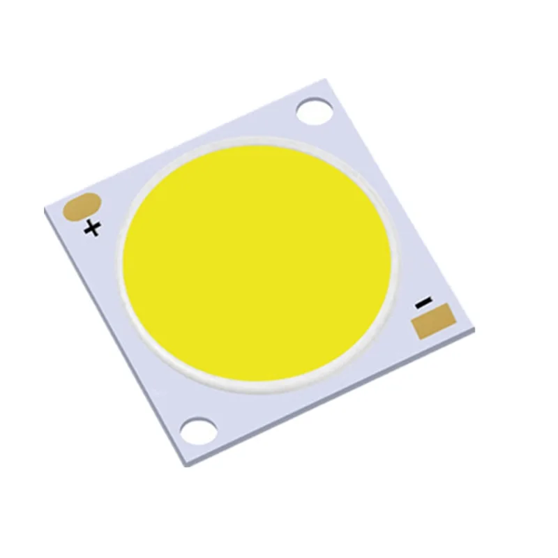 High Power Two Cct 50W 100w 200w 300w 1000W 2000W 6000W Cob Led Mudole Epistar Chip For Floor Lamp Ce Rosh