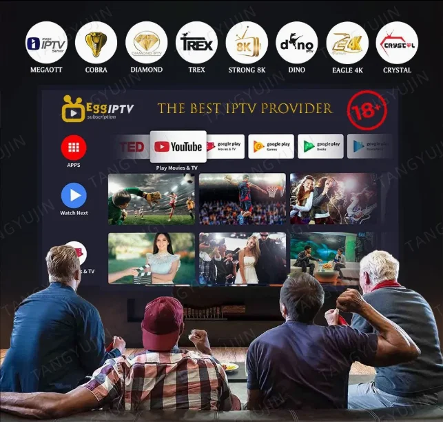 Germany Arabic Iptv Reseller IPTV Enjoy 4k Full Hd Streaming Hot in France USA Canada US Panel Selling