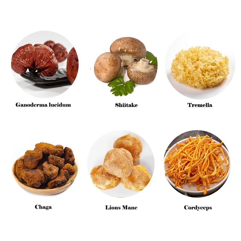 Mushroom Polysaccharide Powder Blend Lions Mane,cordyceps,reishi,chaga,Shiitake,Tremella Extract 6 in 1