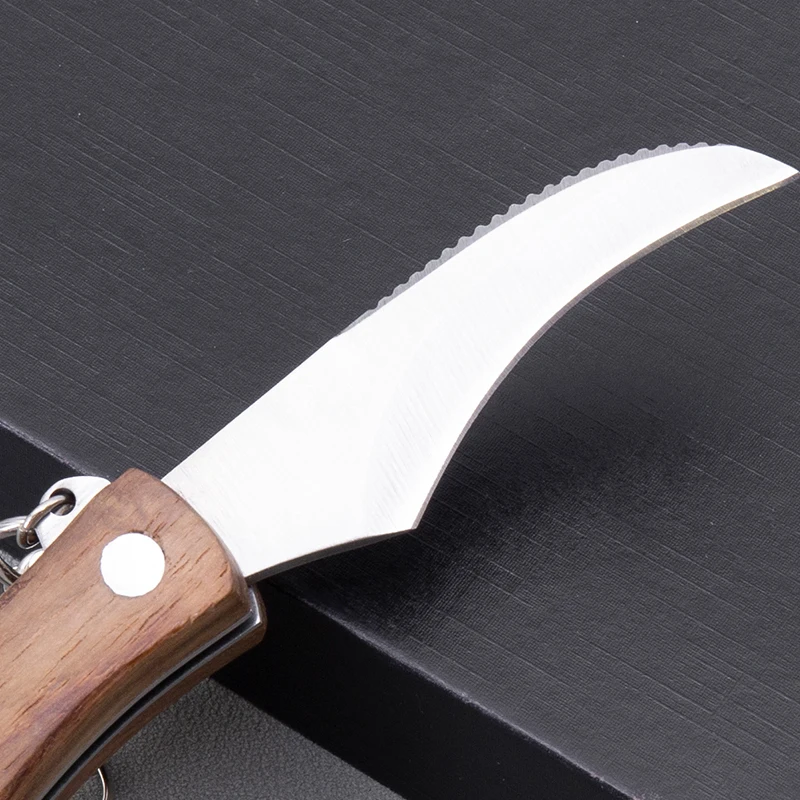 Folding Camping Hunting Truffles Harvest Sharp Knives Wood Handle Pocket knife Pruning Blade Mushroom Knife with Brush
