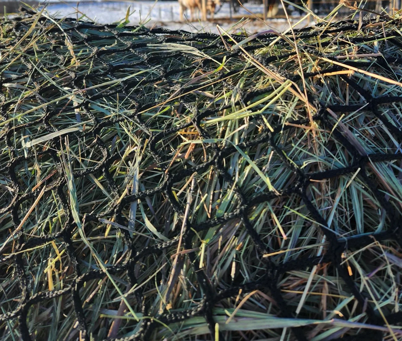 Horse bale hay net/Hay Nets Equestrian Riding/ Hay Net Horse Feeder for Health