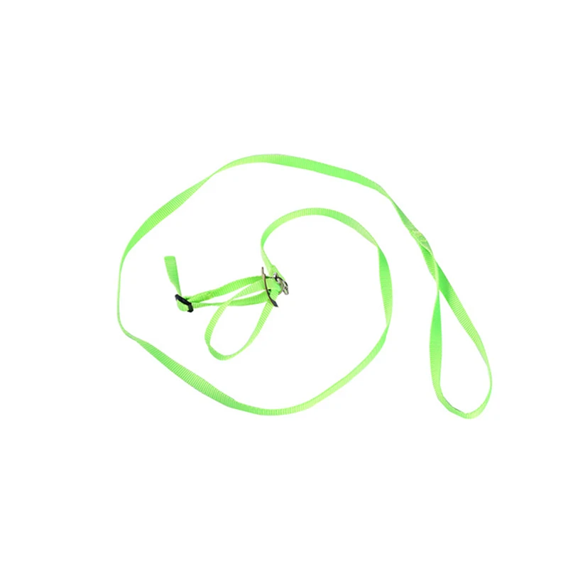 multicolor adjustable bird harness and leash A set birds harness for training Parrot leash