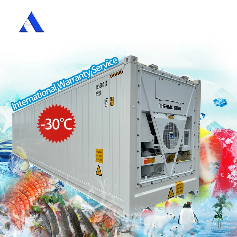 Thermo King 40ft Double Pressure Freezer High Cube Refrigerator Reefer Container 40 Feet Aluminium T Floor Good Price