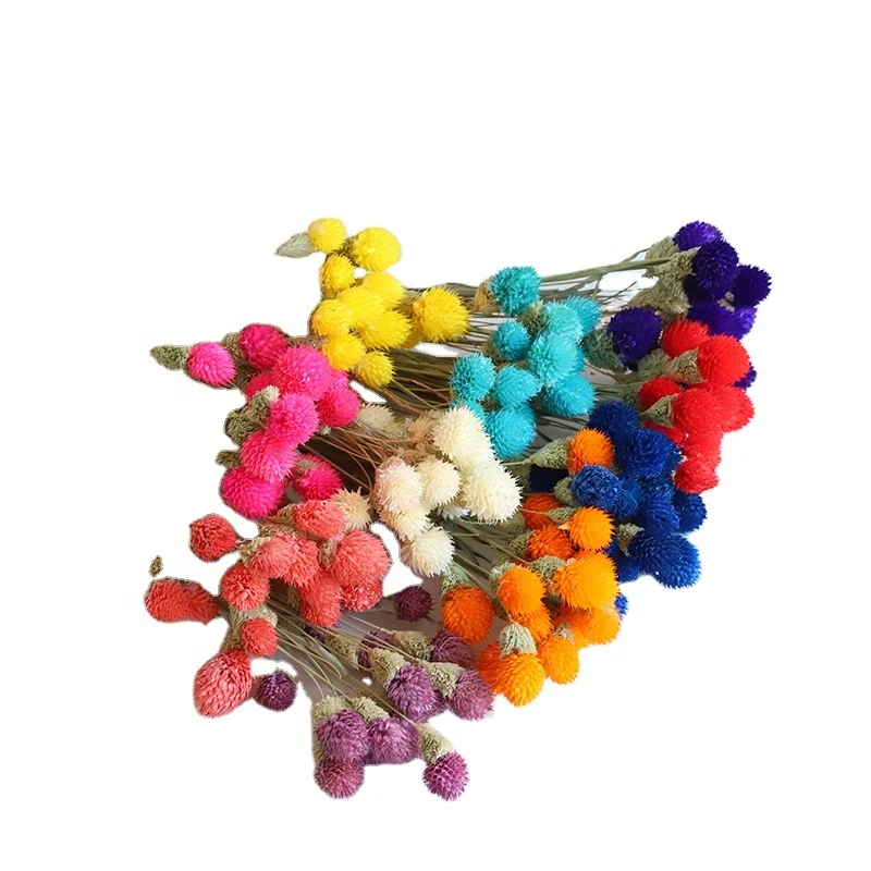 
2020 cheaper price dried plants small size real dry decoration flowers for sale 