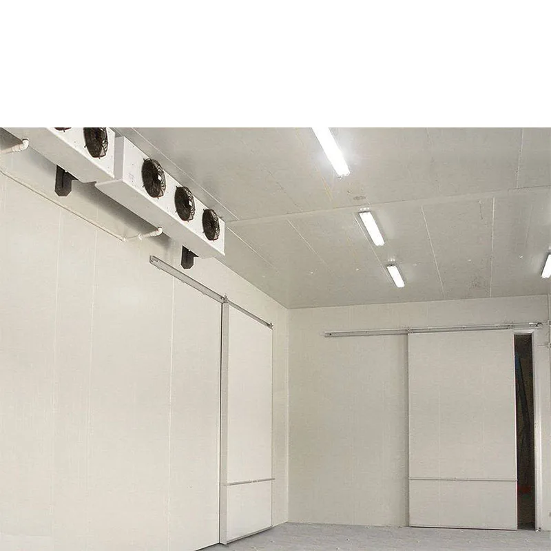 High Quality vegetables freezer cold room vegetable chiller for sale
