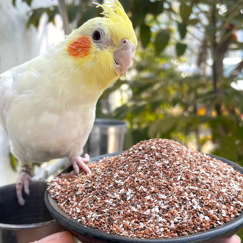 Customized Logo Nutrition red clay for pigeon 750g pigeon supplements Healthy Sand Racing Pigeon Food