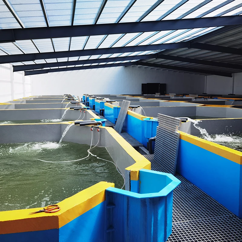 Large Output Recycling Aquaculture System Koi Pond,fishery Equipment Farming,ras Complete System