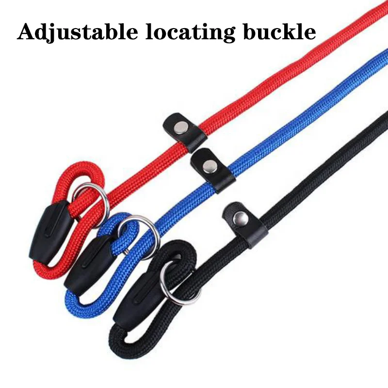 Manufacturers Free Sample Durable Nylon Slip Lead Dog Leash Adjustable Loop Slip Lead Pet leash