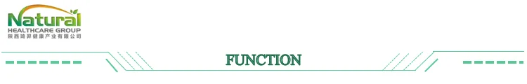 FUNCTION