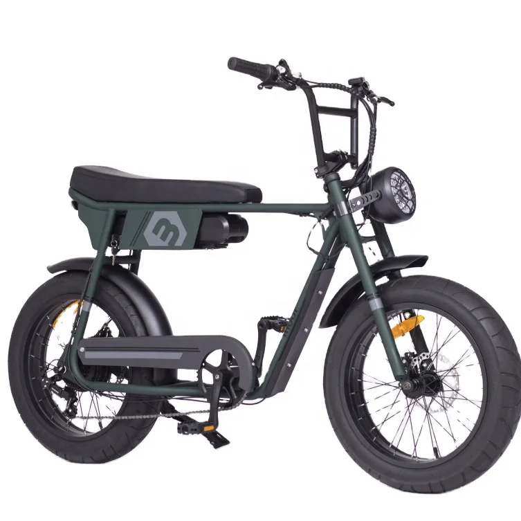 48v 500w/750w/1000w Retro Bike Rear Hub Motor 20*4.0 Inch Fat Tire Two Seat Electric Bike Moto Electrica 73 Ebike